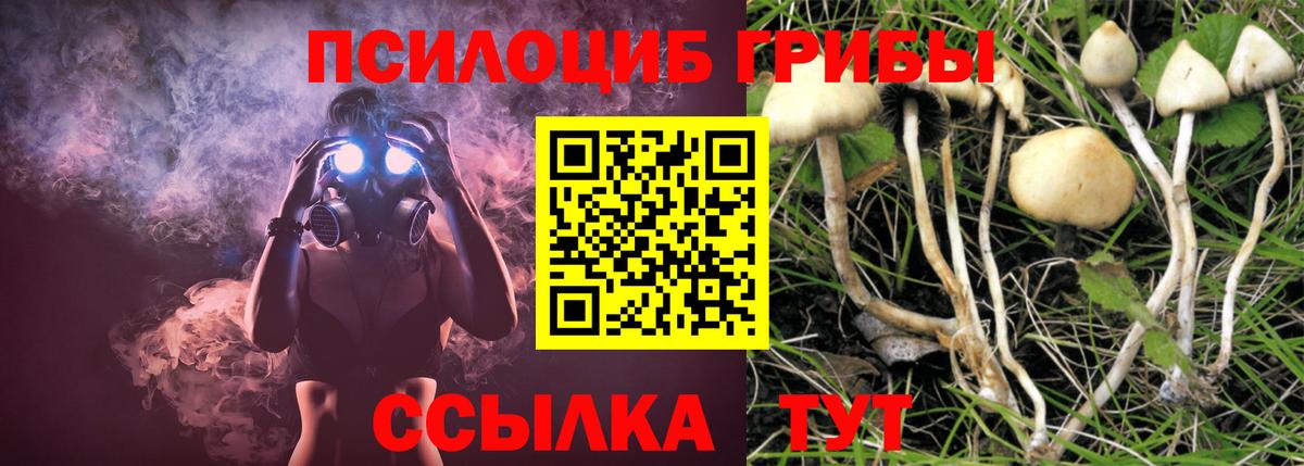 Сальск  даркнет сайт  Вход с VPN  Псилоцибиновые грибы прущие грибы 