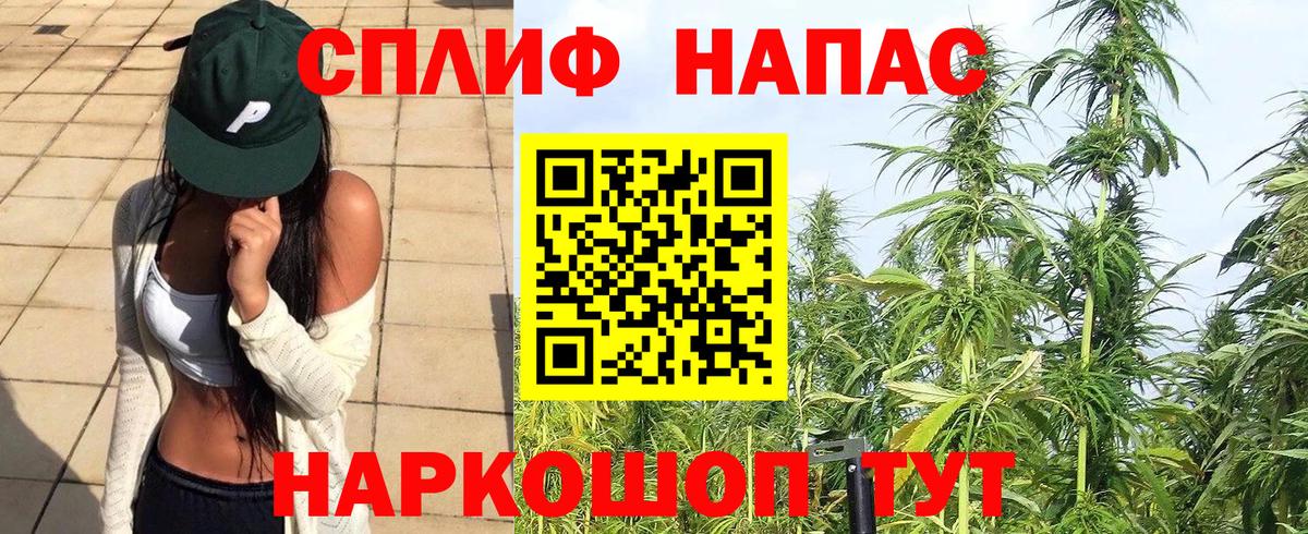 Канабис гибрид Сальск